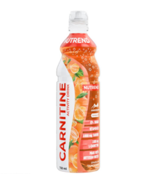 CARNITINE ACTIVITY DRINK, bez kofeínu, mandarínka, perlivá (zálohované), 750ml